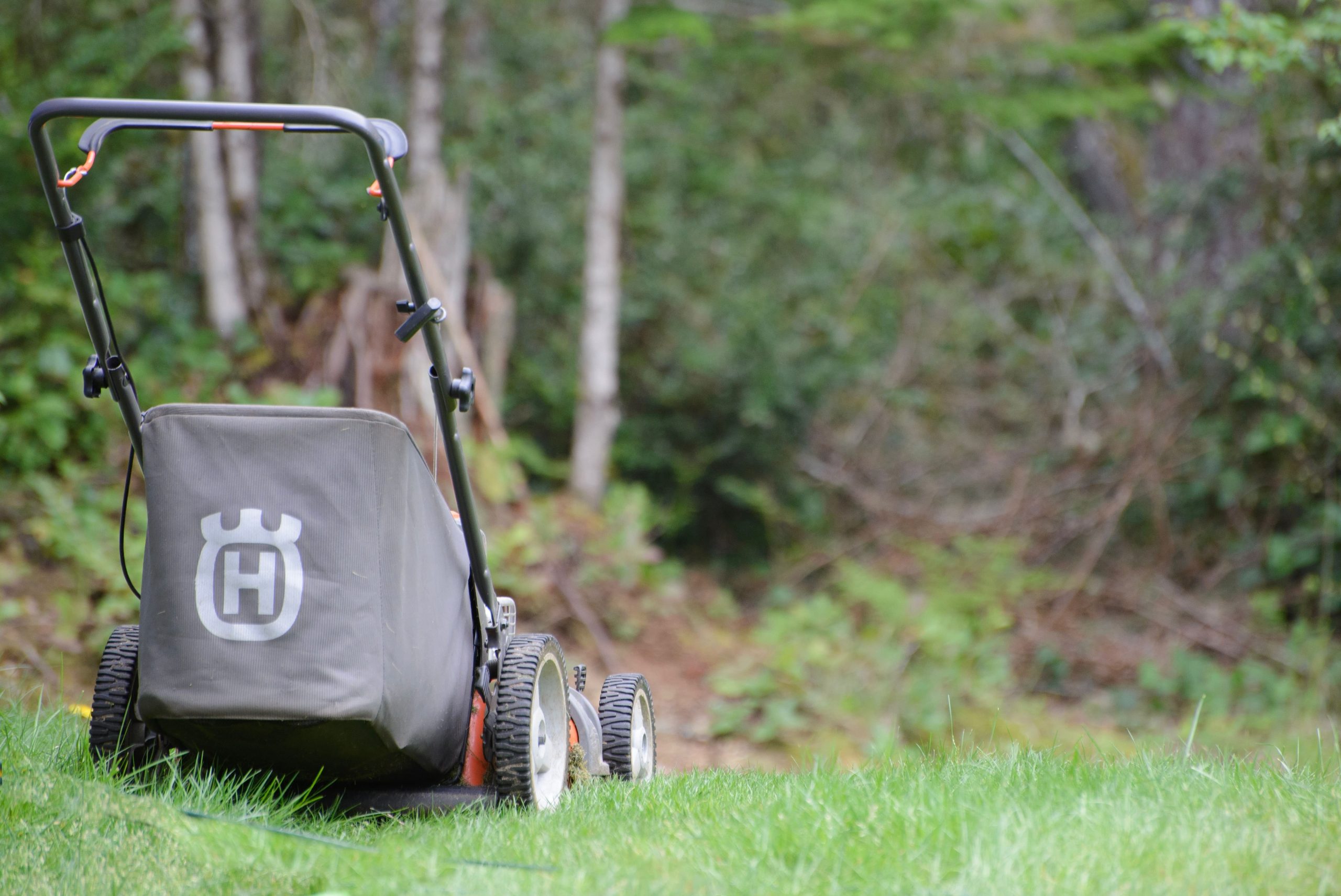 Buying a best sale new lawn mower